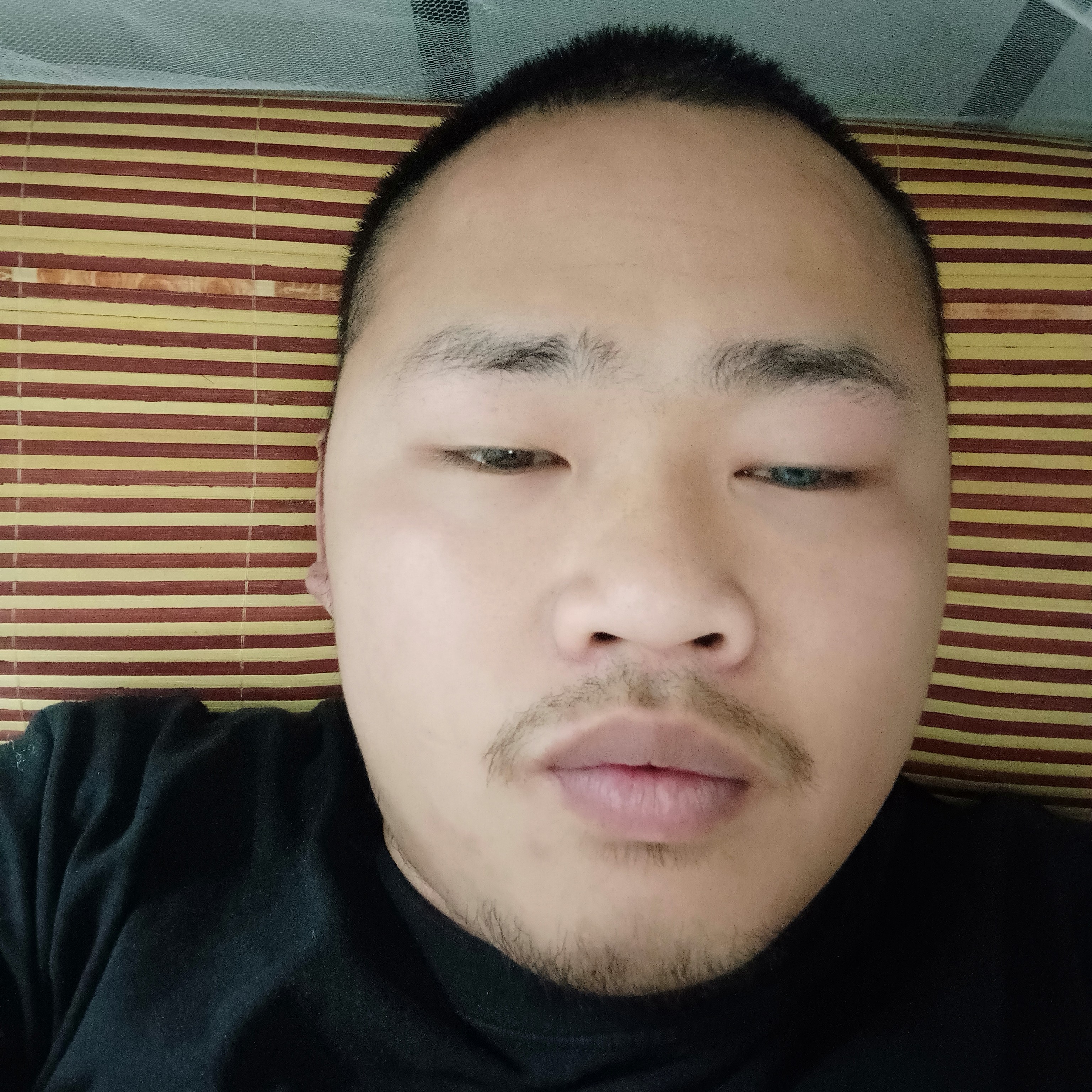 绿草笑坚强的照片
