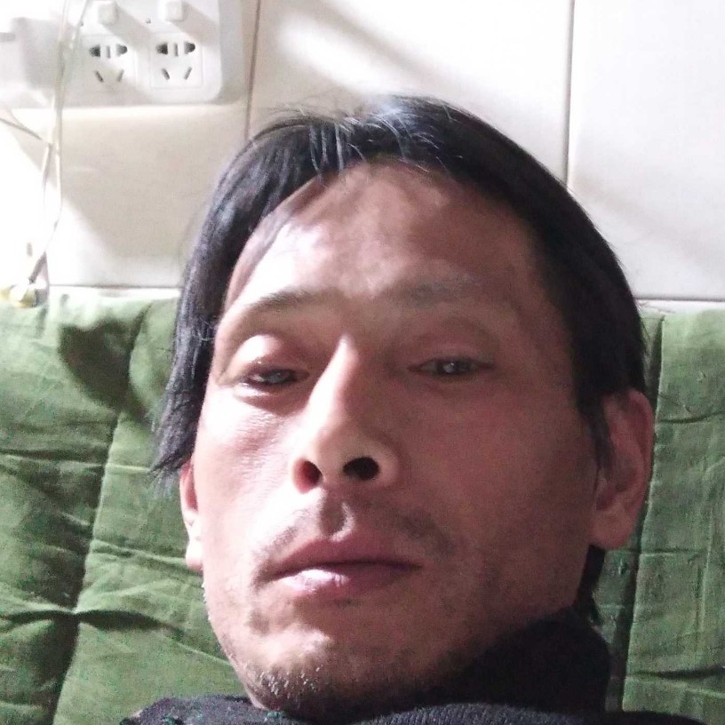 狐岛飞鹰的照片