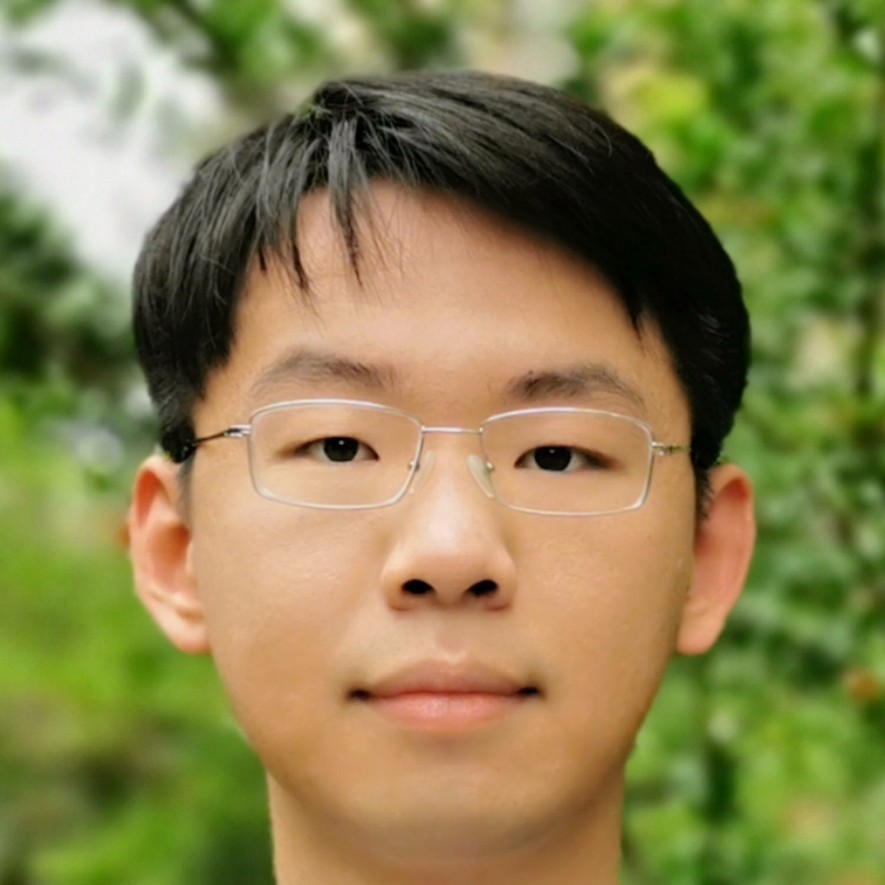 诚实—阳光的照片