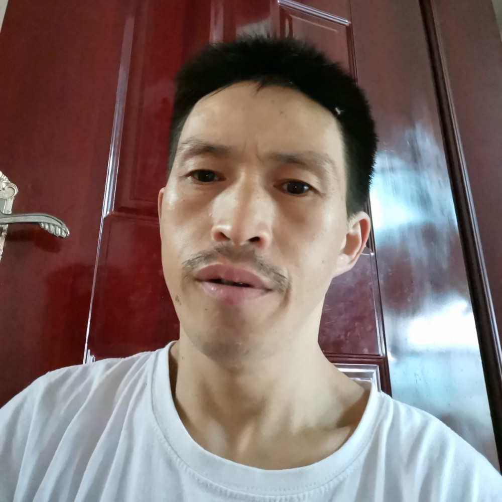 黄豆沉默的照片