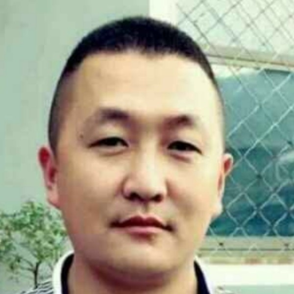 小白菜内向的照片