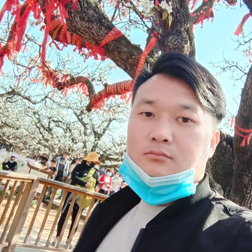 百合泪了热心的照片