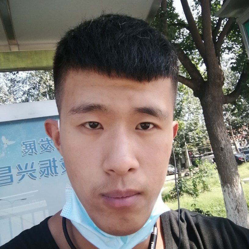 朴素拾忆哈密瓜的照片