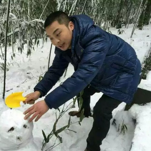 幸福迷了路的照片