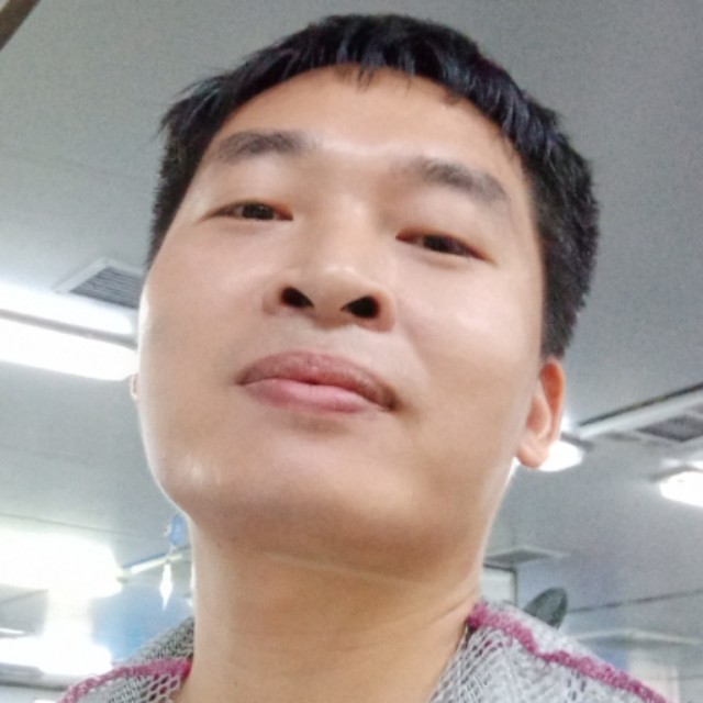 羽毛从容的照片