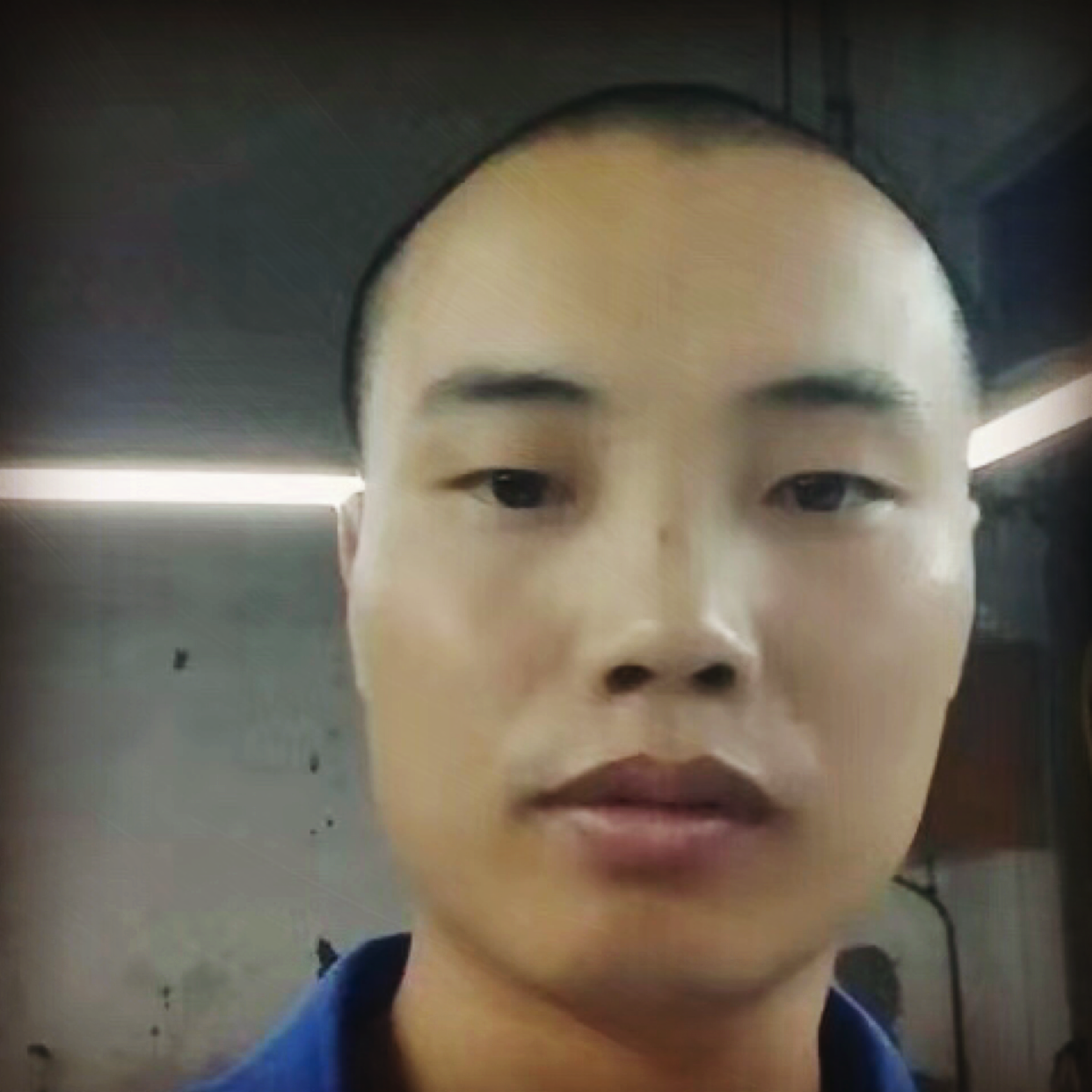 晨阳如风的照片