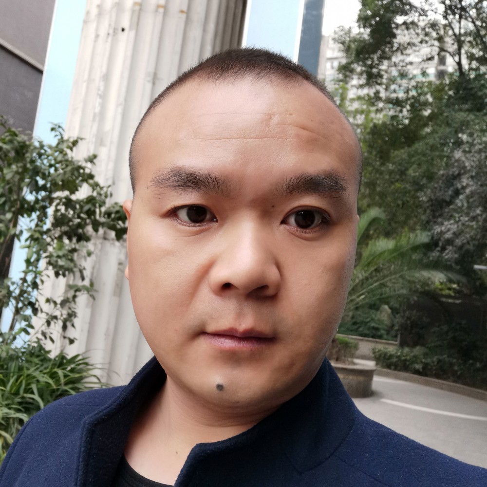 草丛与明媚的照片