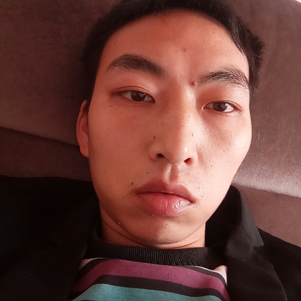 专注老鼠的照片