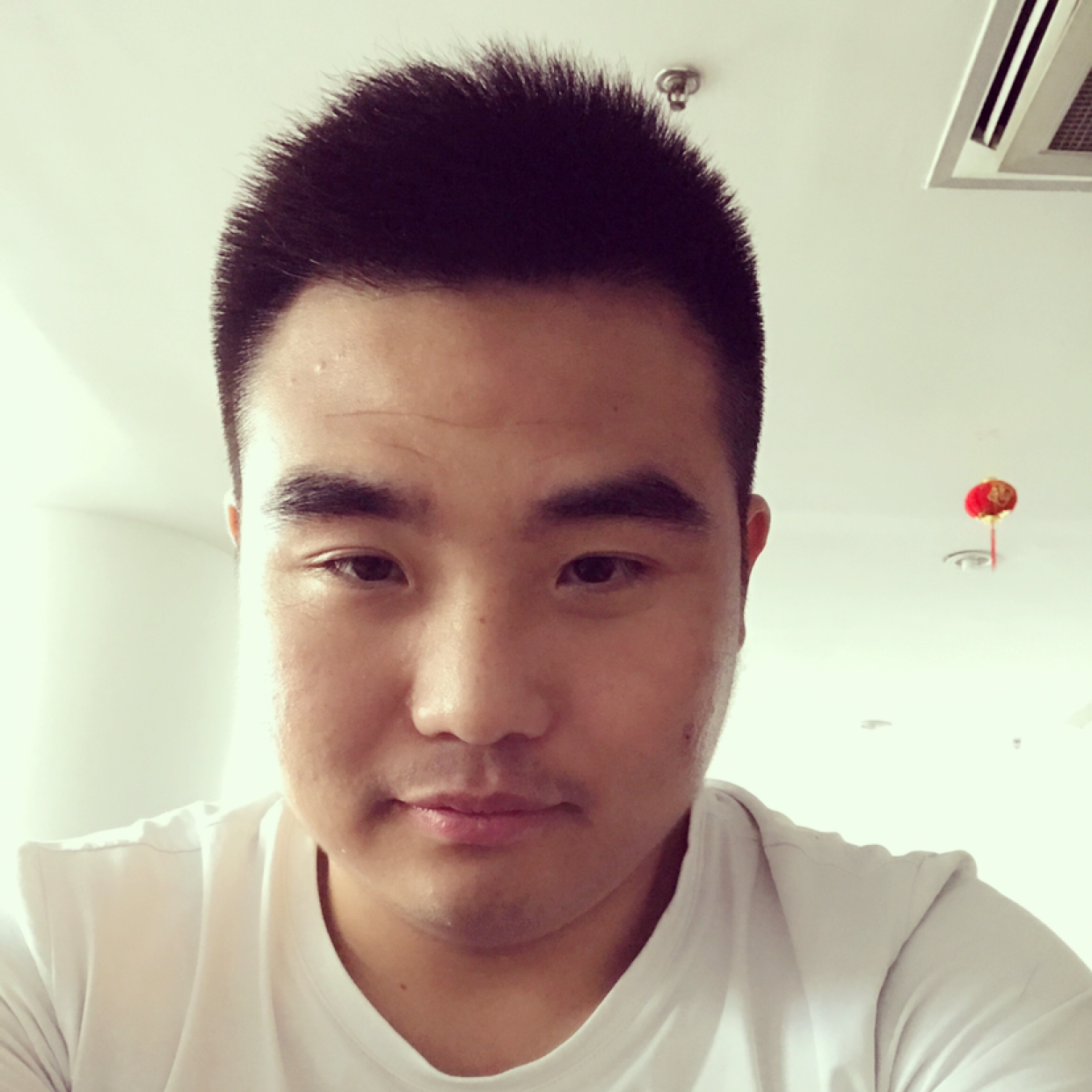 白羊回眸贤惠的照片