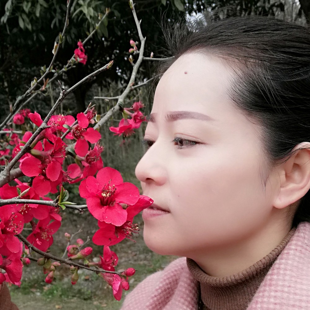 塞翁失马，马焉知的照片