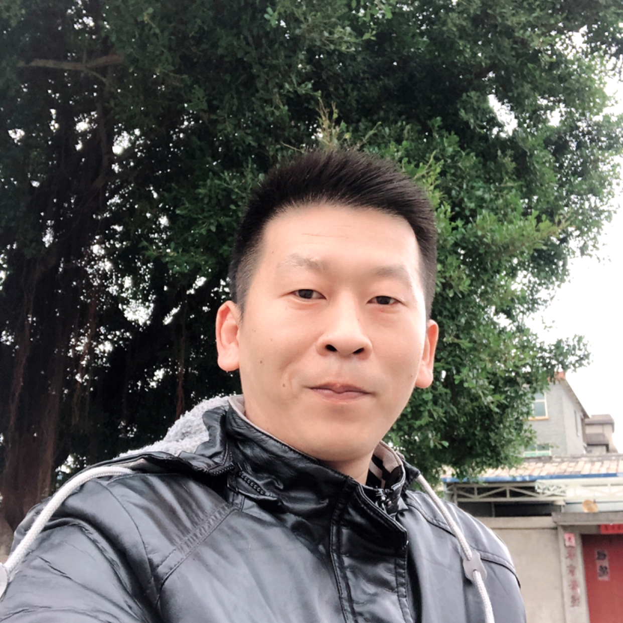龙猫迎激昂的照片
