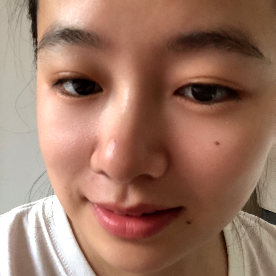 殷勤深拥翅膀的照片