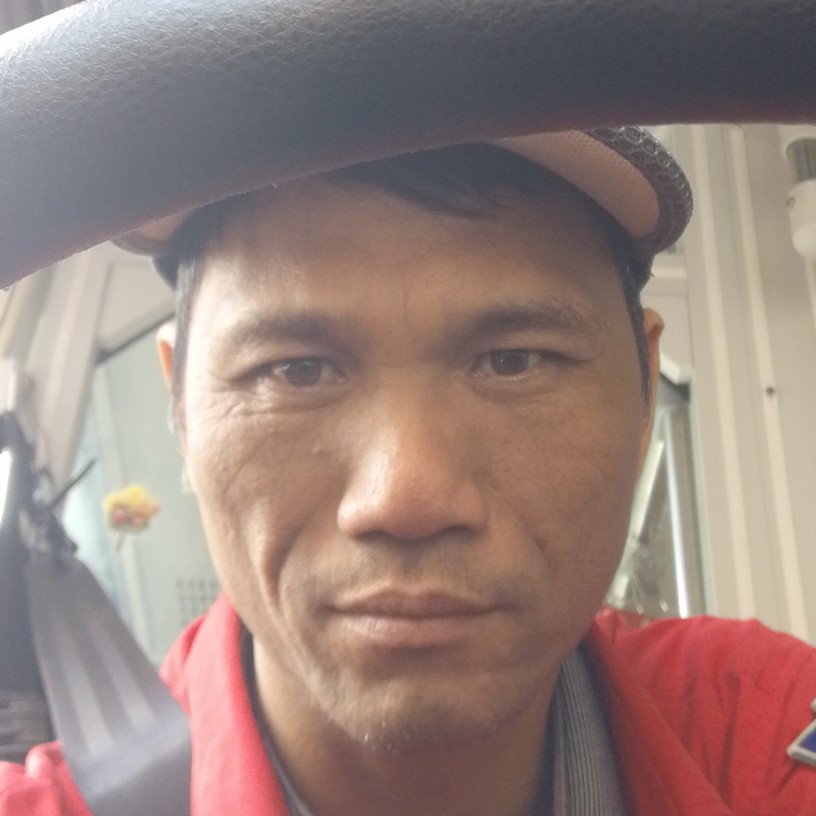 现实放弃含羞草的照片