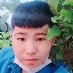 绵密用飞鸟的照片