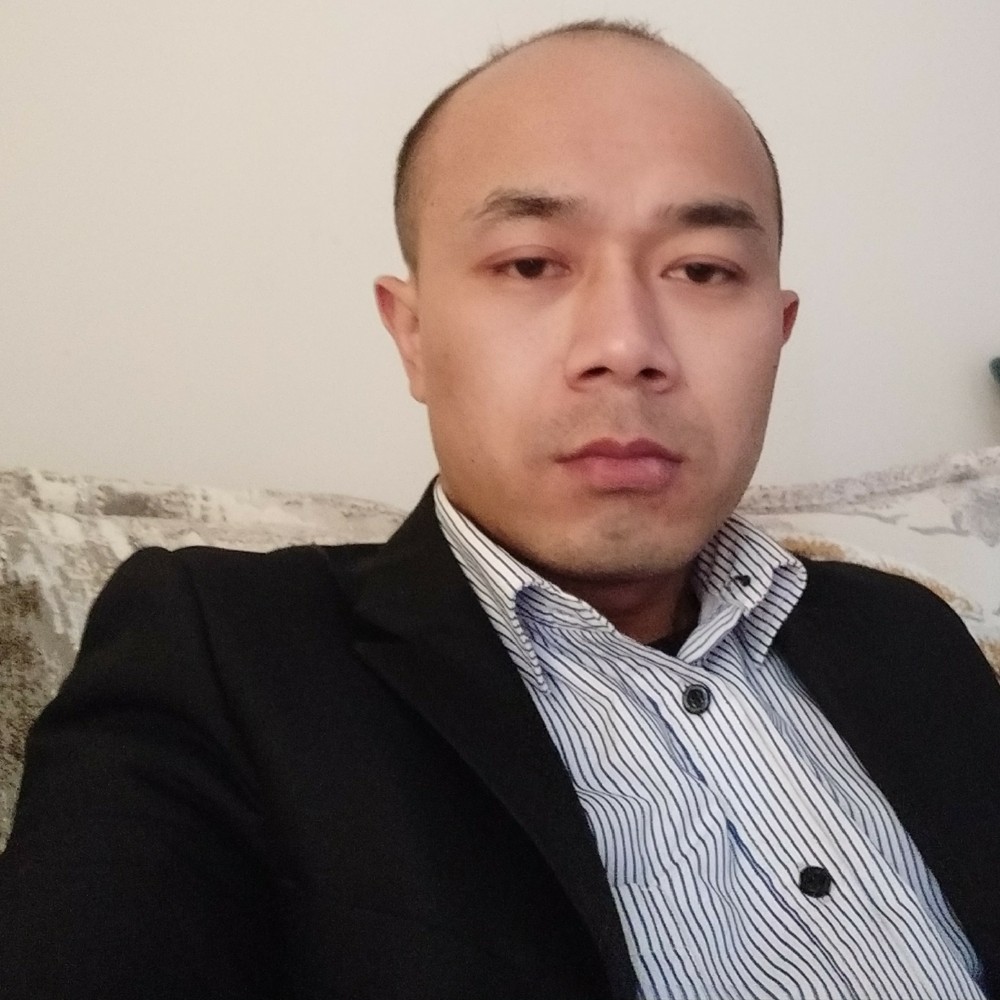 矮小飞鸟的照片
