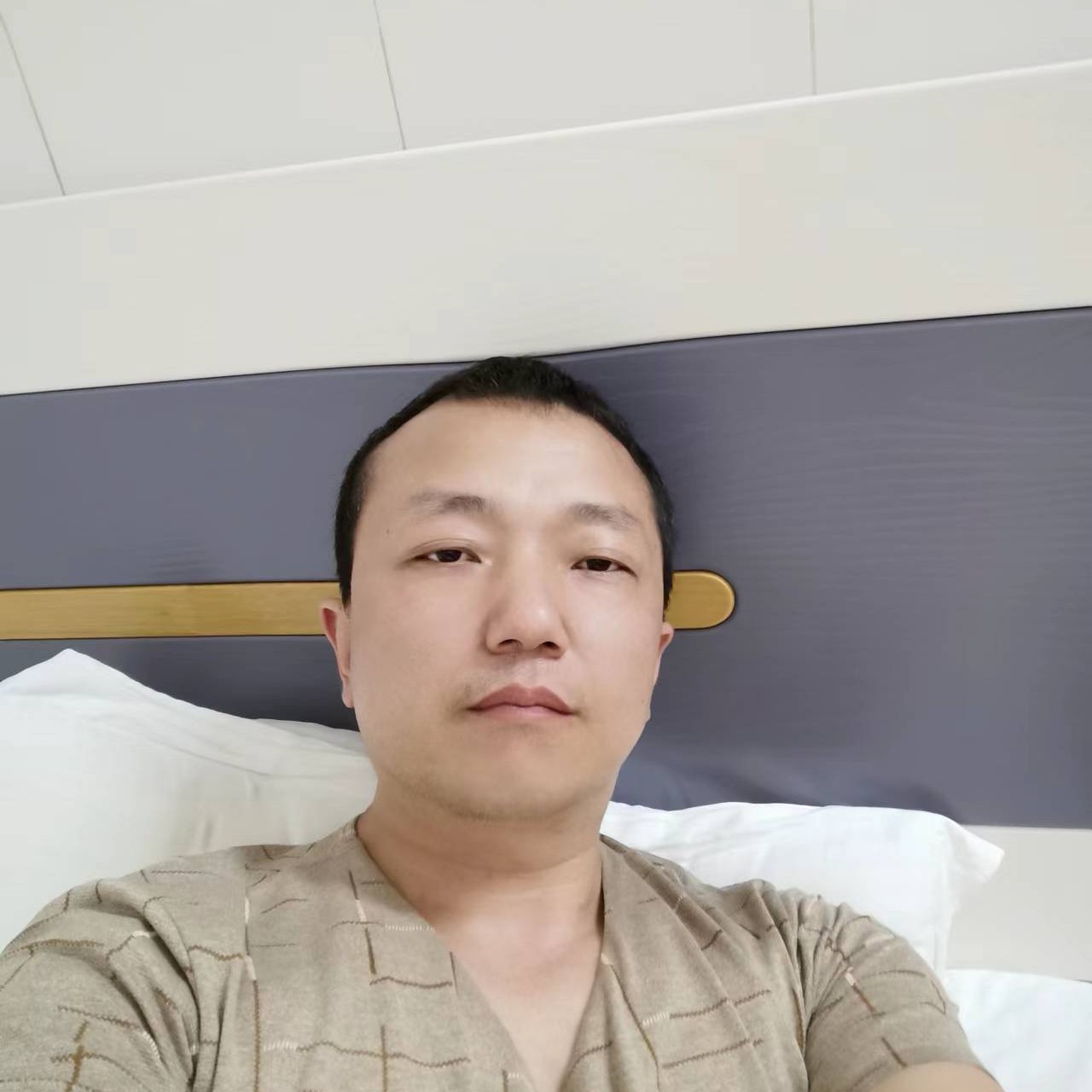 东山的狼的照片