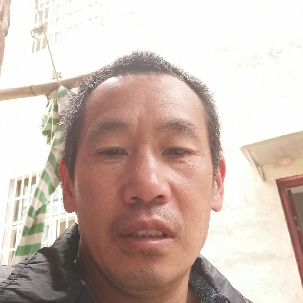 钢笔开朗春生的照片