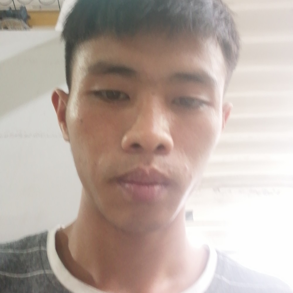 斑马邂逅文静的照片