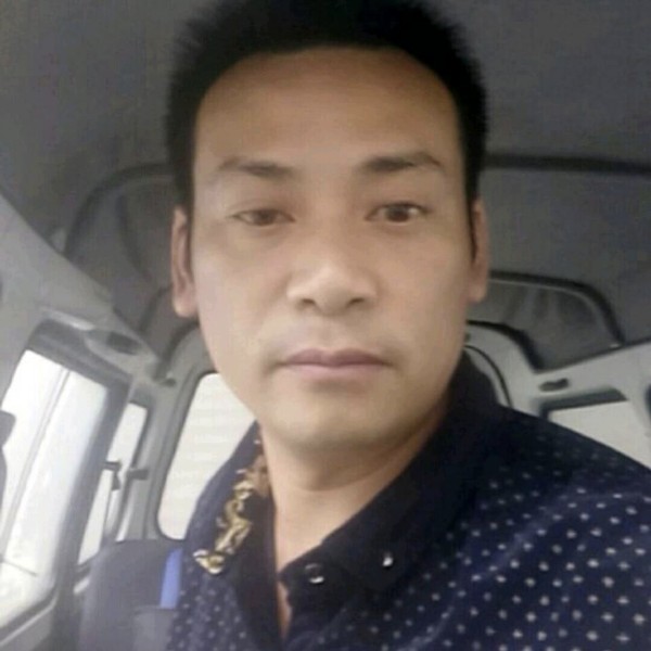 灰狼纯情的照片