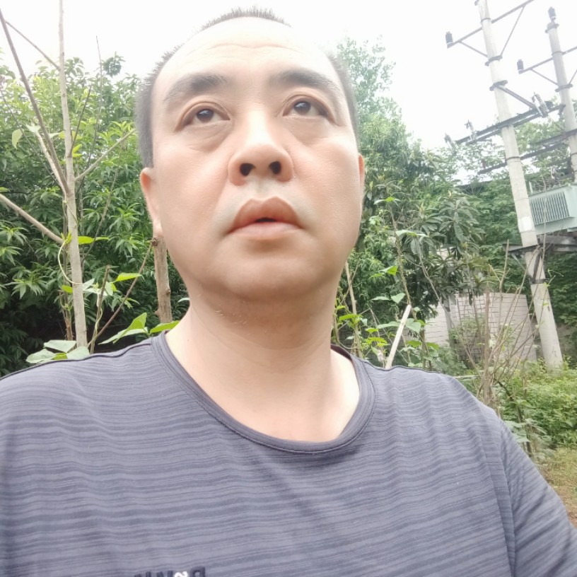 音响彩色的照片