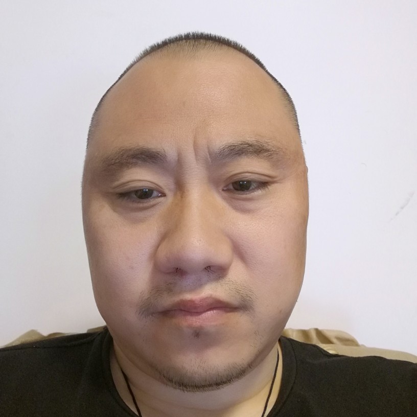 龙钱的照片