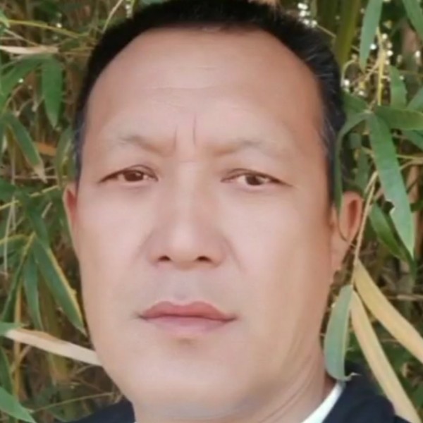飞鹰的照片