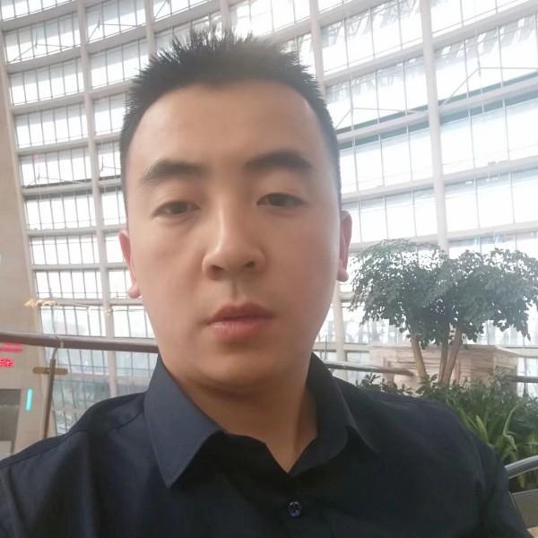 欠你的爱大象的照片