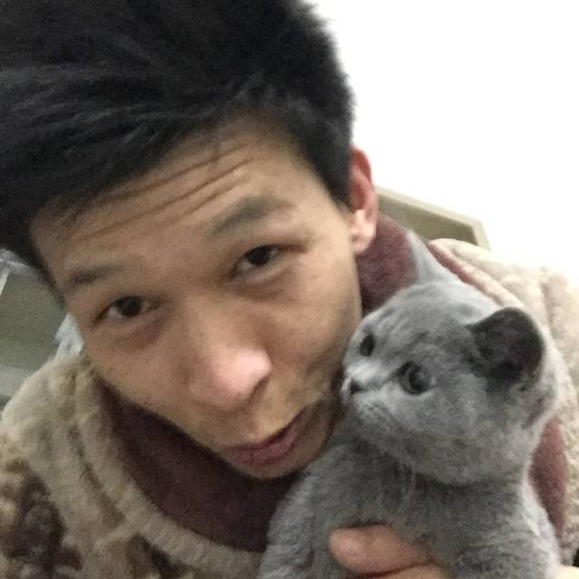 火龙果沉静525的照片