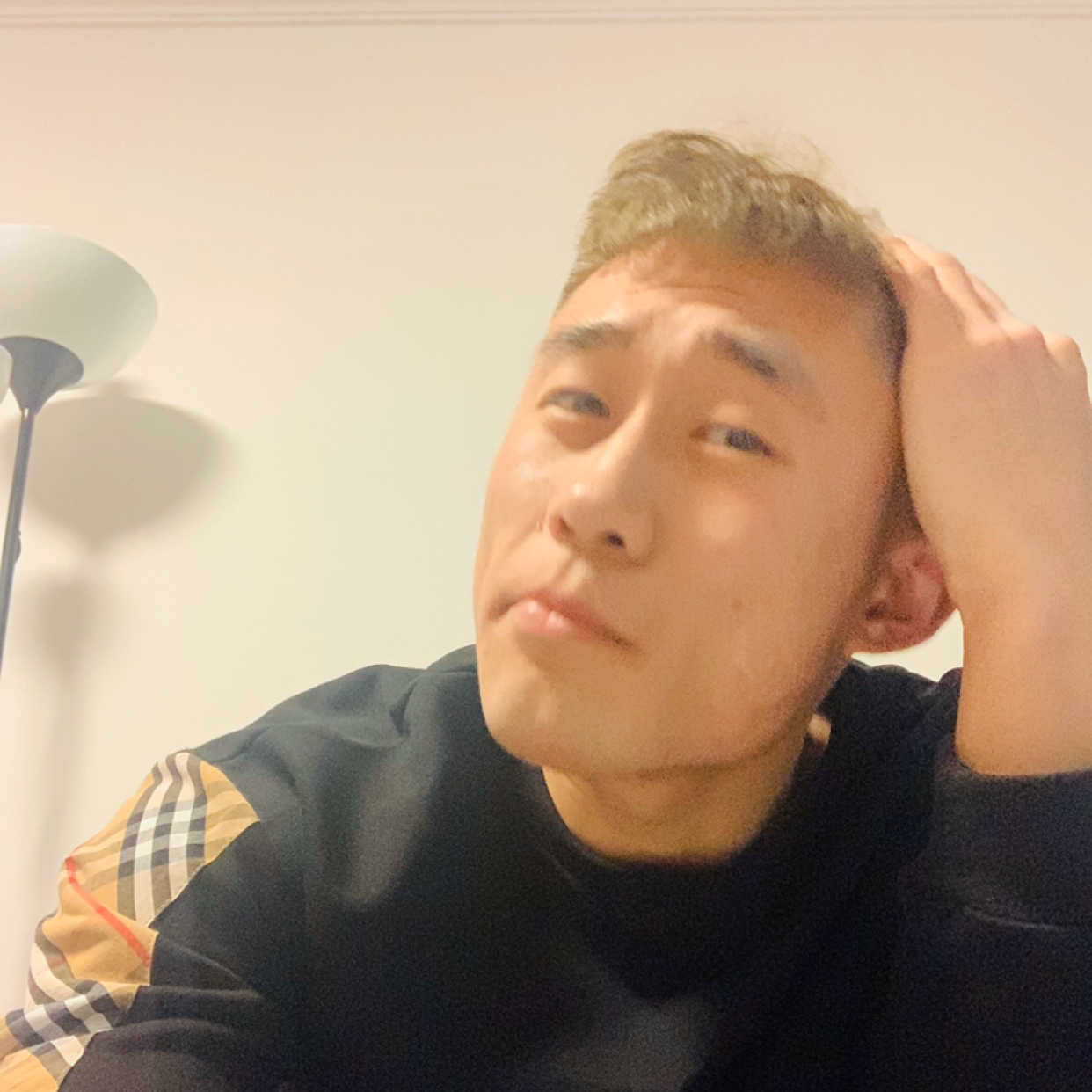 鱼漫步清秀的照片