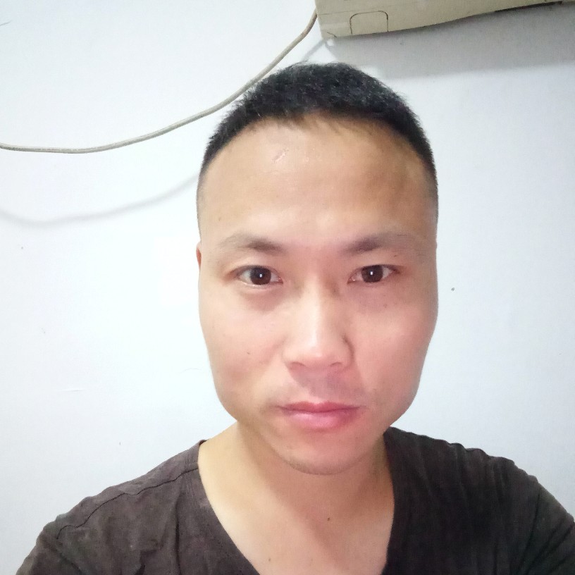 蚂蚁是我干掉的的照片