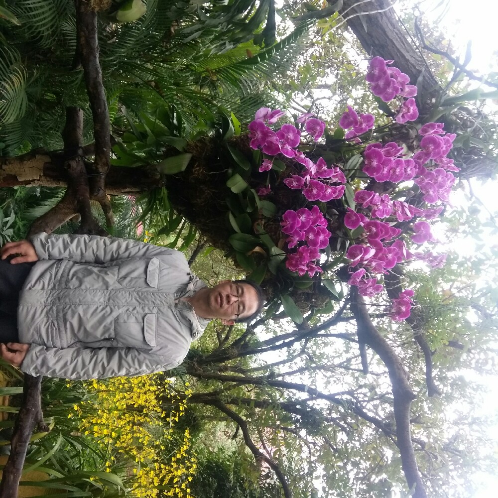 无聊洋葱的照片