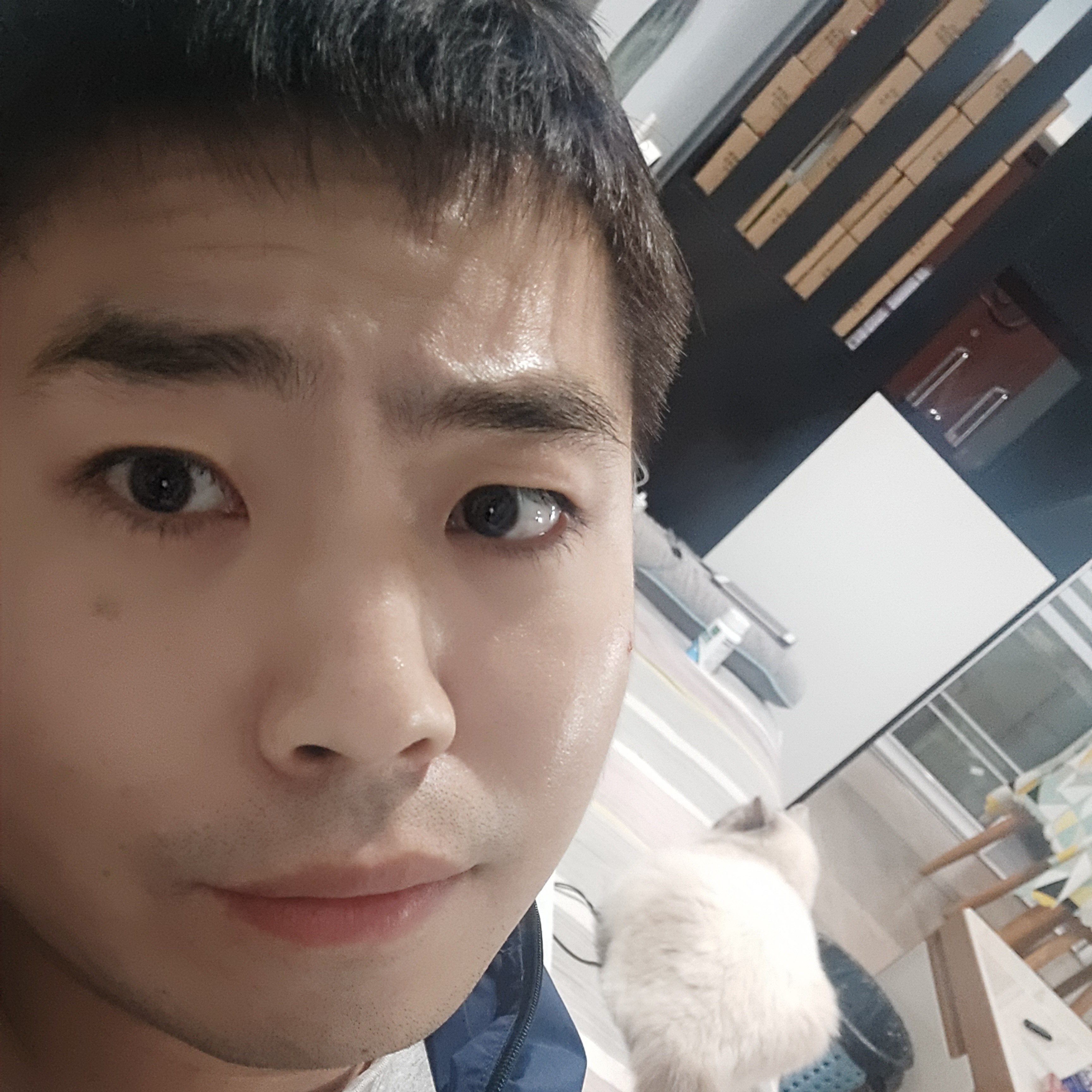 一只沧桑的大白的照片