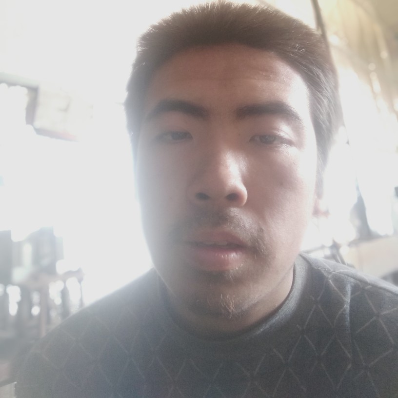 鸭子回眸从容的照片