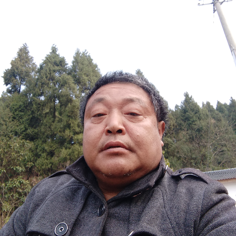 路灯闻包容的照片