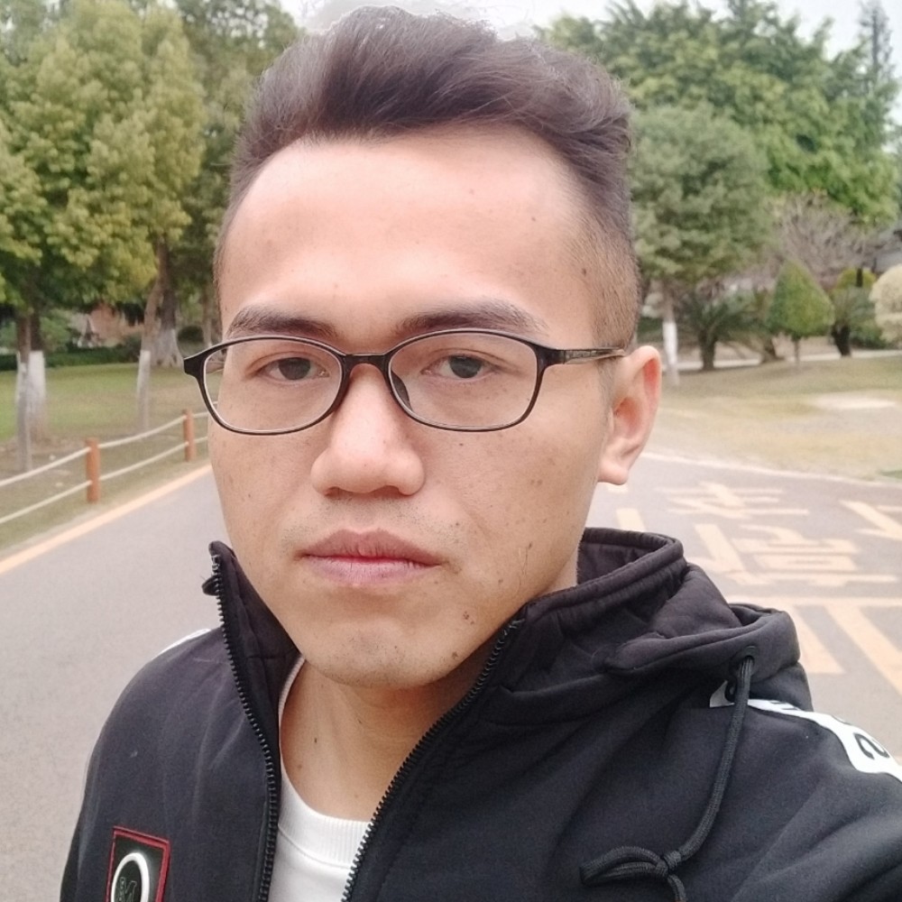 毛豆迷路的照片