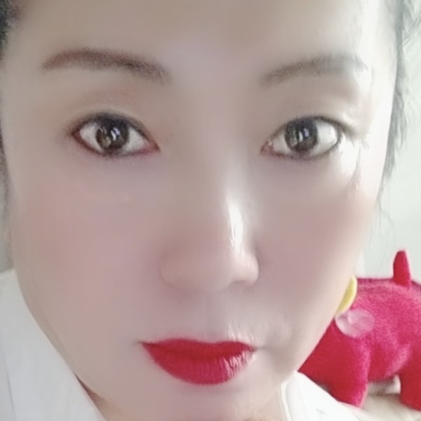 樱花的照片