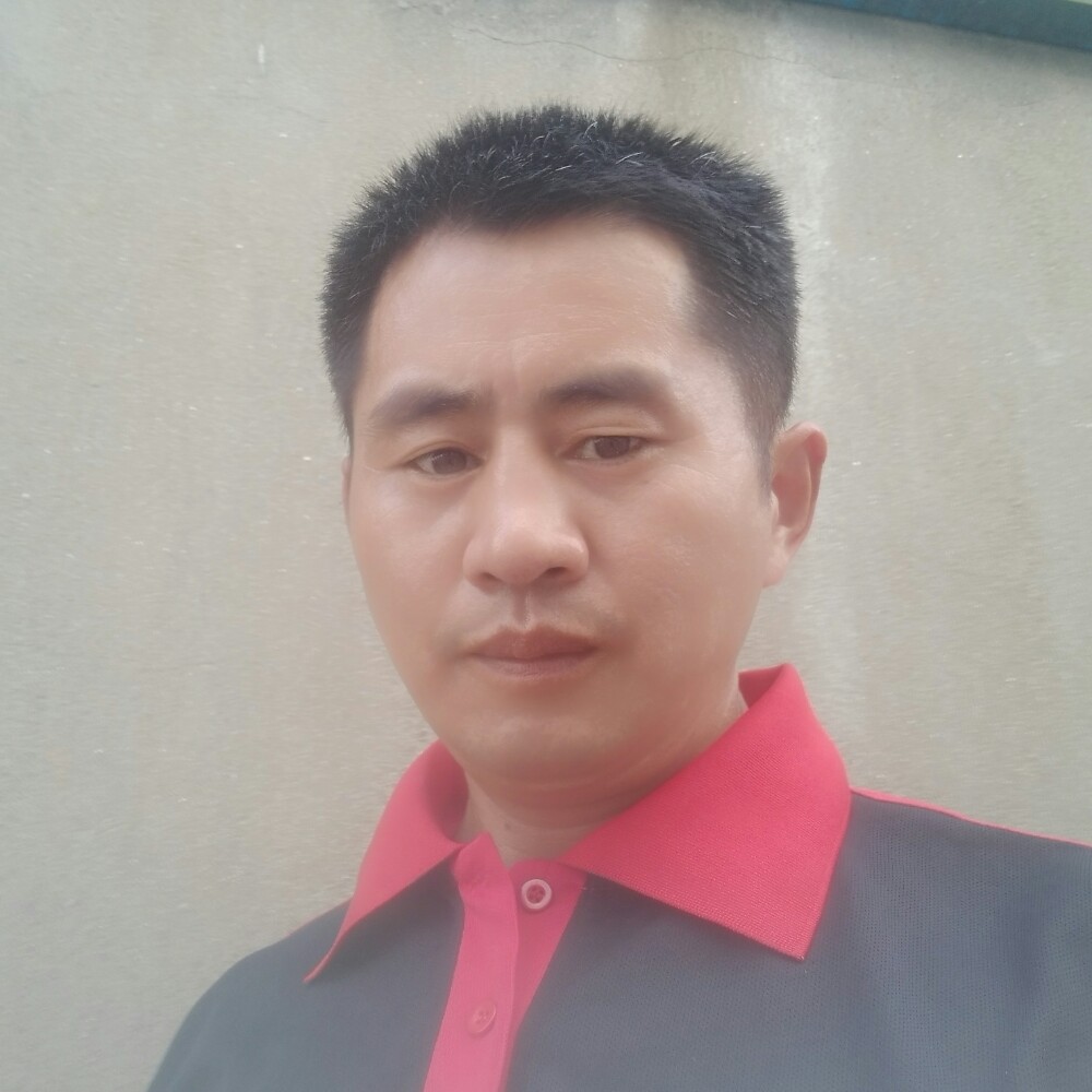 黄蜂舒服的照片