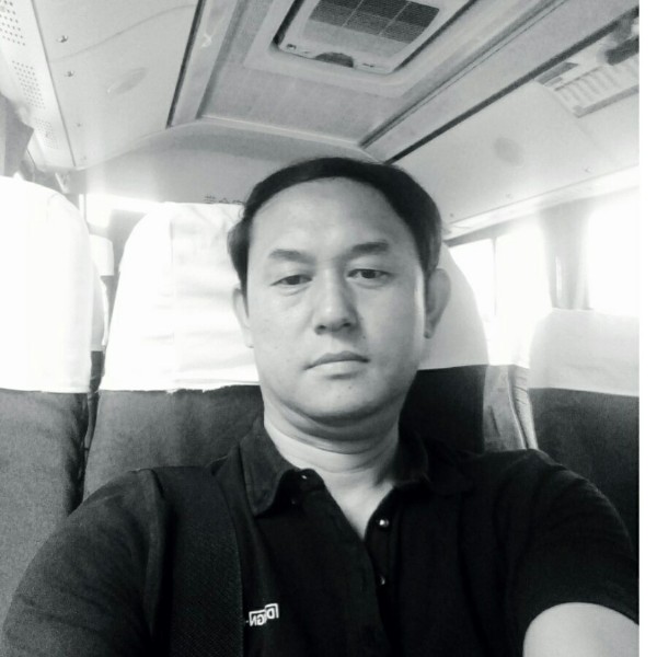 鸭子邂逅温柔的照片