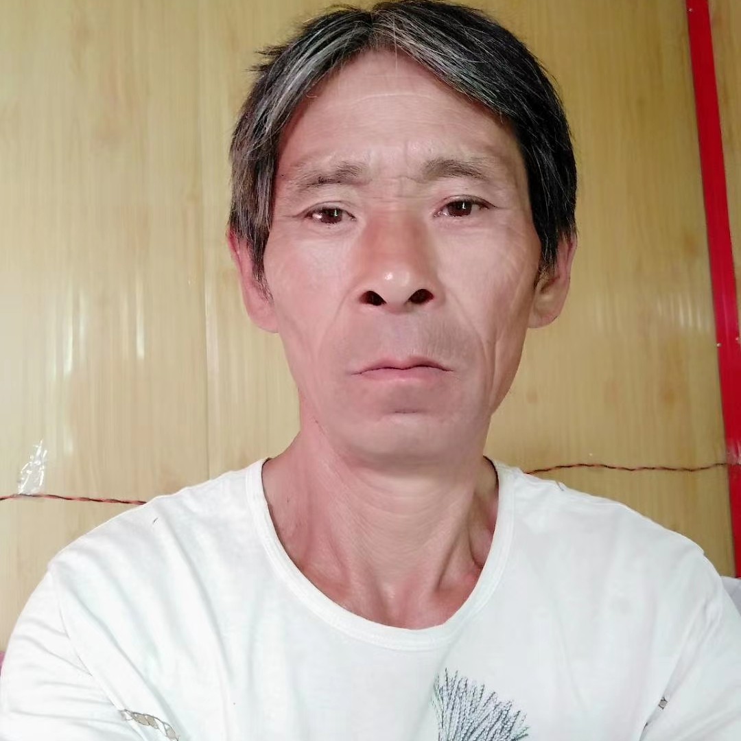 网上难寻伴的照片