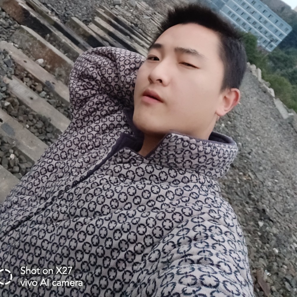 迅速的眼神的照片