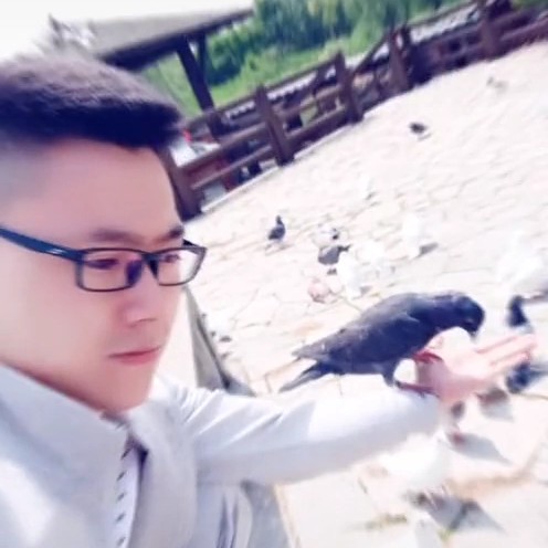 安稳大叔的照片