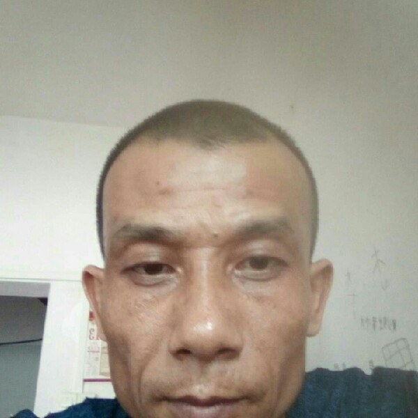 儒雅浅吻犀牛的照片