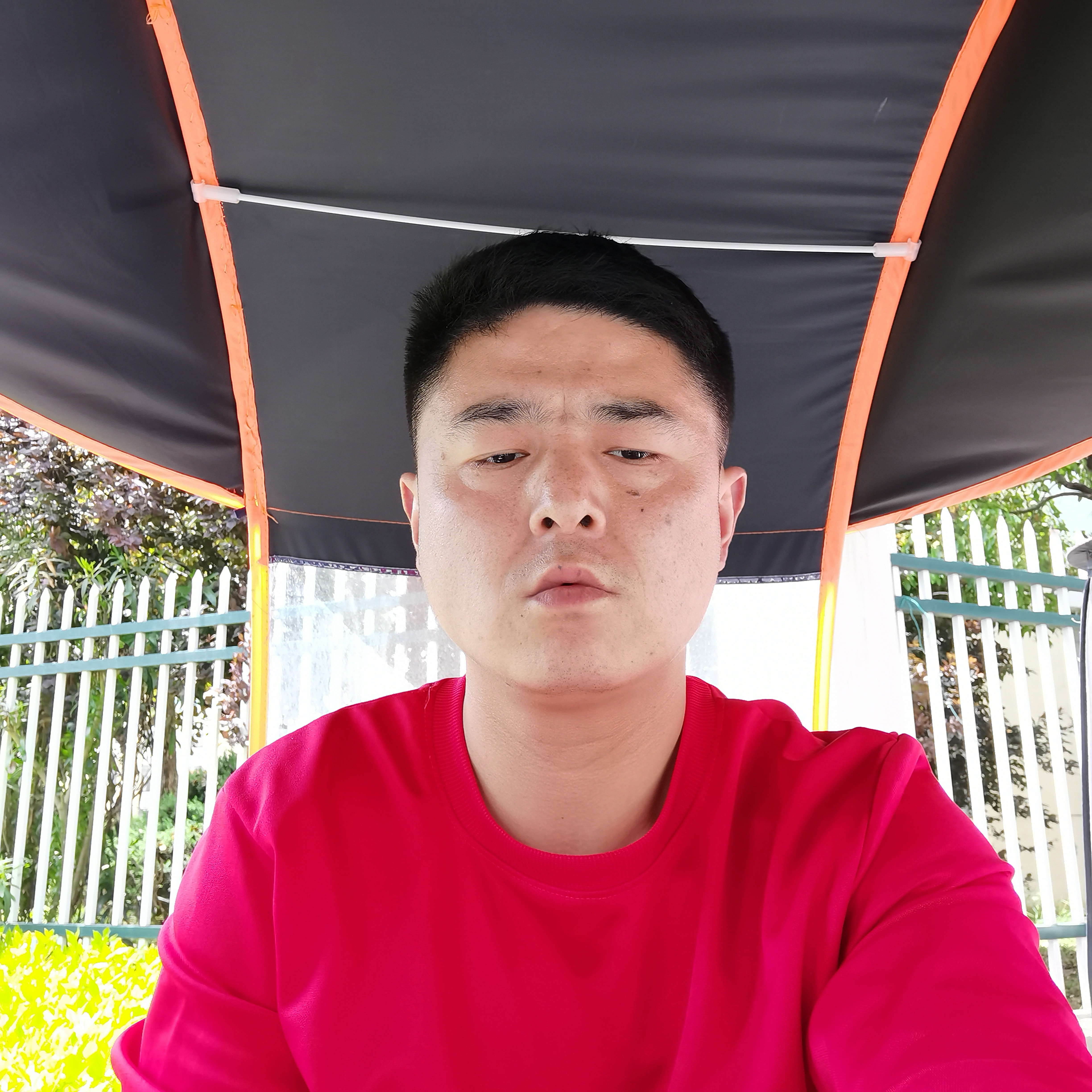 从容泪了大地的照片