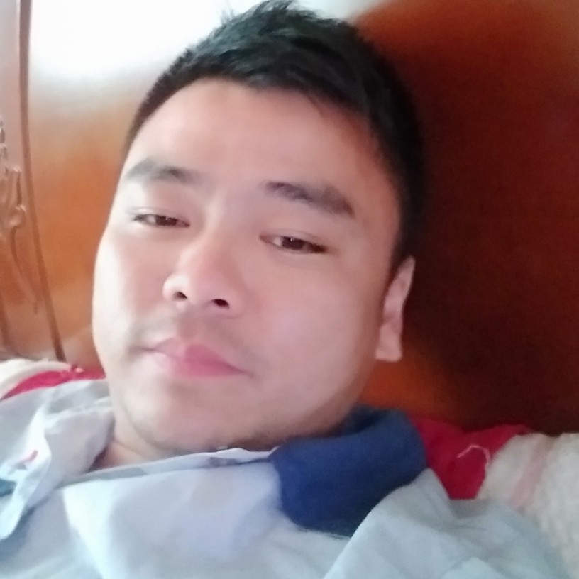 康乃馨改变温暖的照片