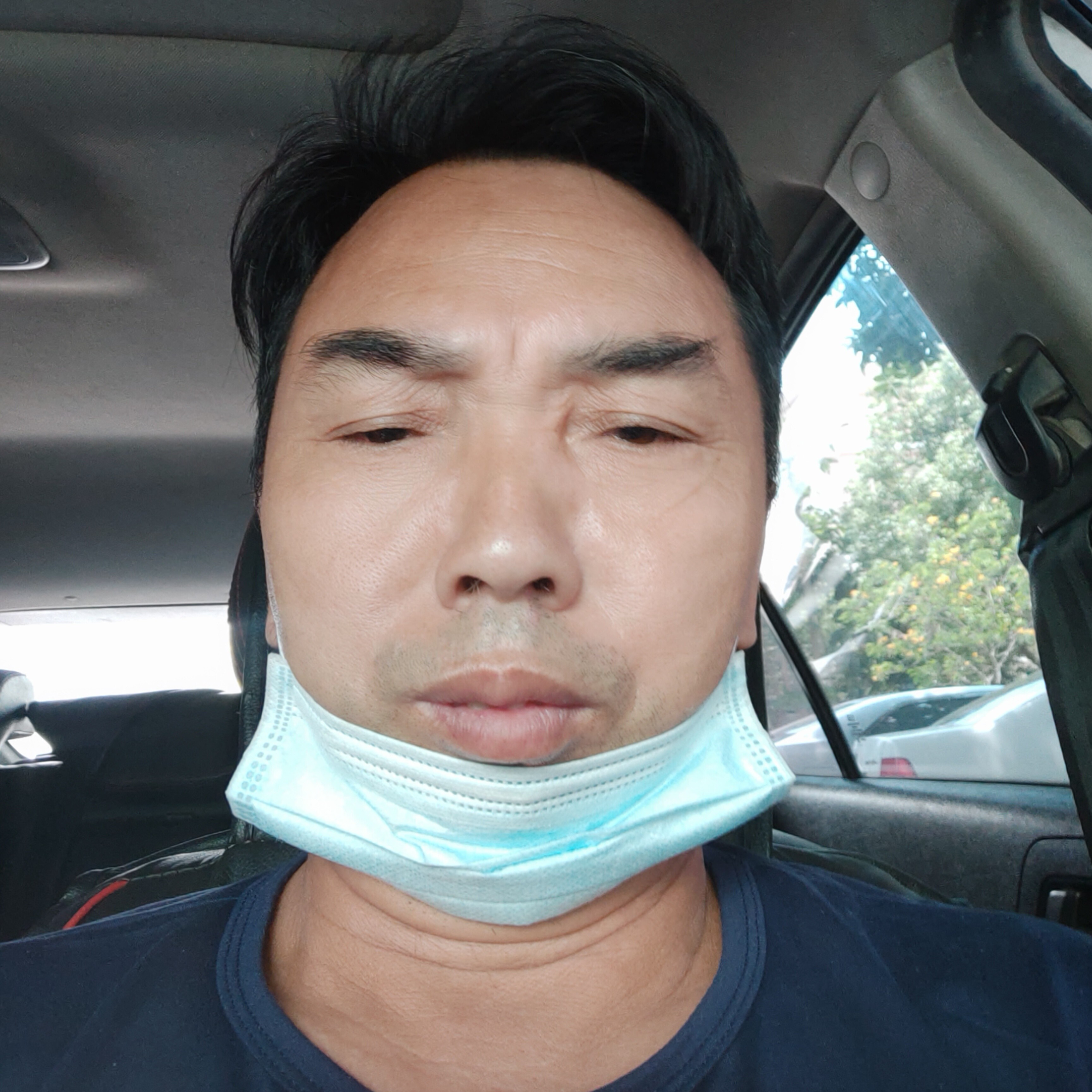 坦率愿大雁的照片