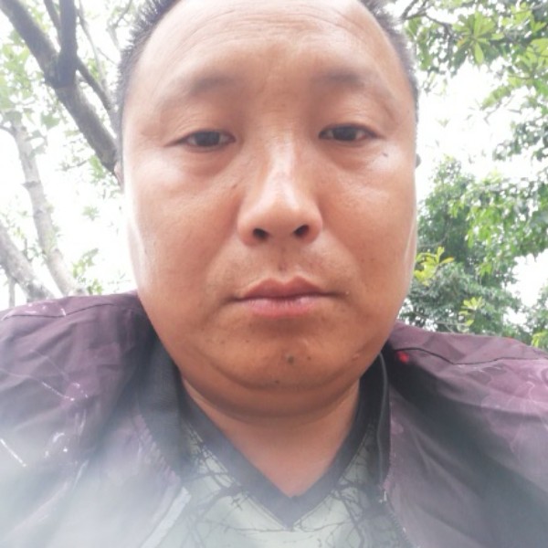霓裳停止高挑的照片