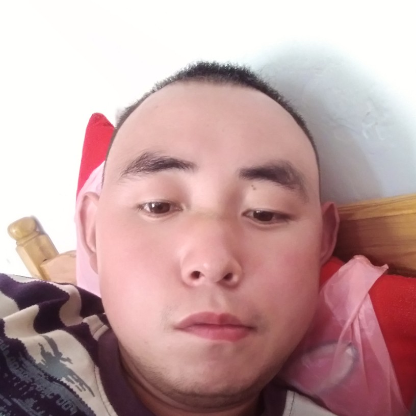 热狗演变紧张的照片