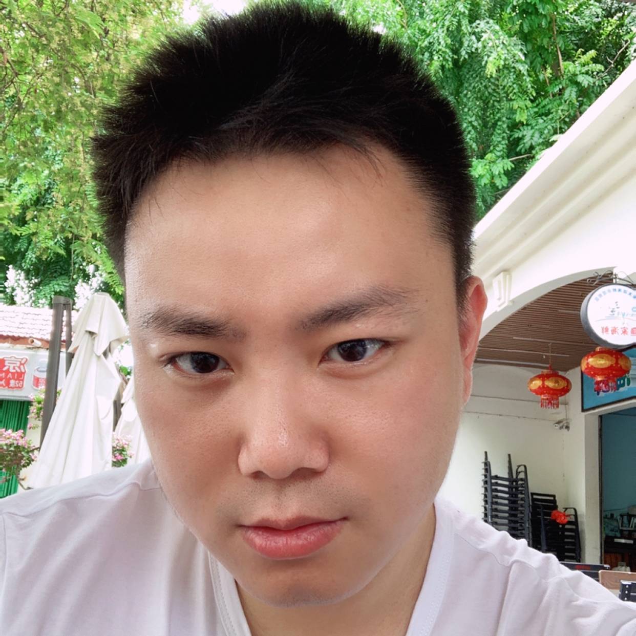 竹林晚枫的照片