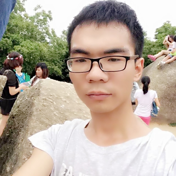 聪明老鼠的照片