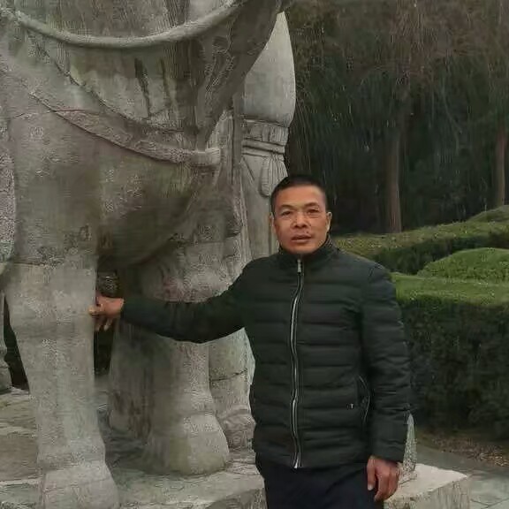 水中林的照片